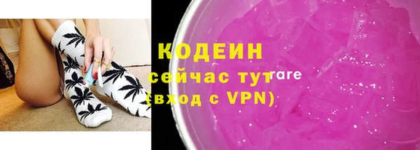 молекула духа Бородино