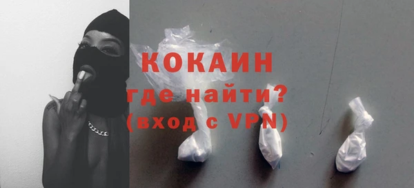 молекула духа Бородино