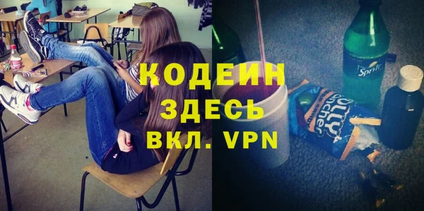 молекула духа Бородино
