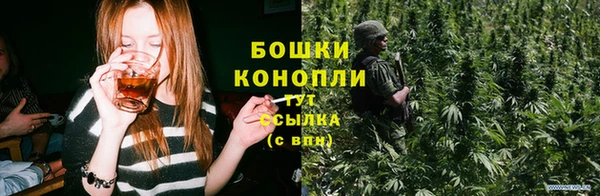 дмт Бронницы