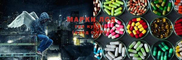 молекула духа Бородино