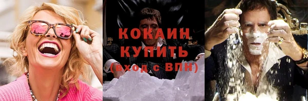 молекула духа Бородино