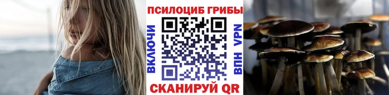 Псилоцибиновые грибы Psilocybine cubensis  Буй 